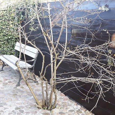 Zacisze Kalwy Διαμέρισμα Εξωτερικό φωτογραφία