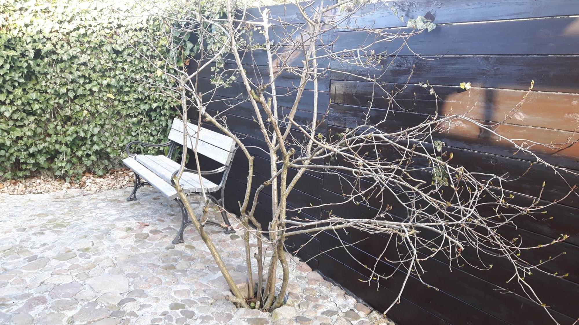 Zacisze Kalwy Διαμέρισμα Εξωτερικό φωτογραφία